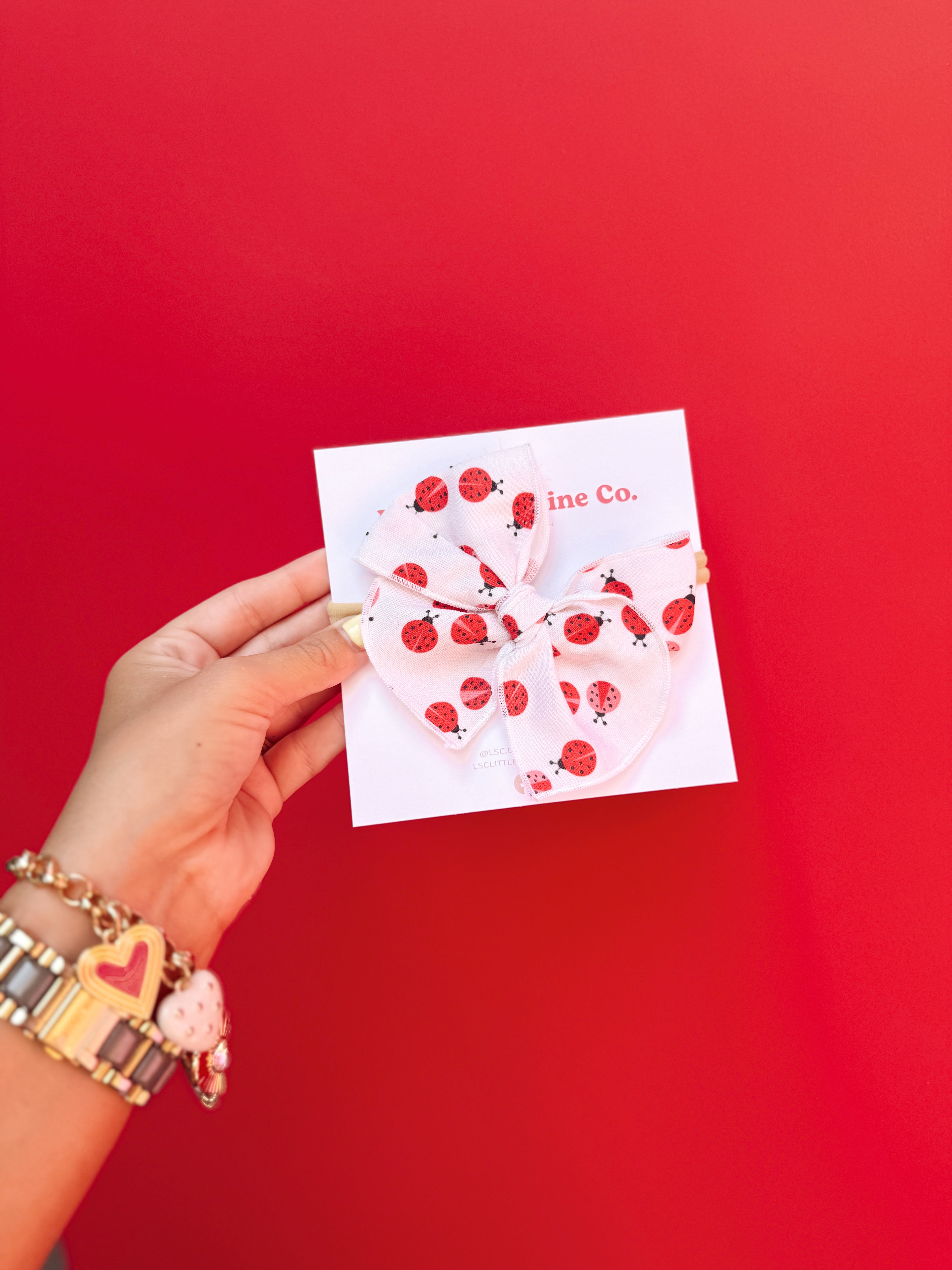 Ladybug Picnic Hair Bows 🐞🧺