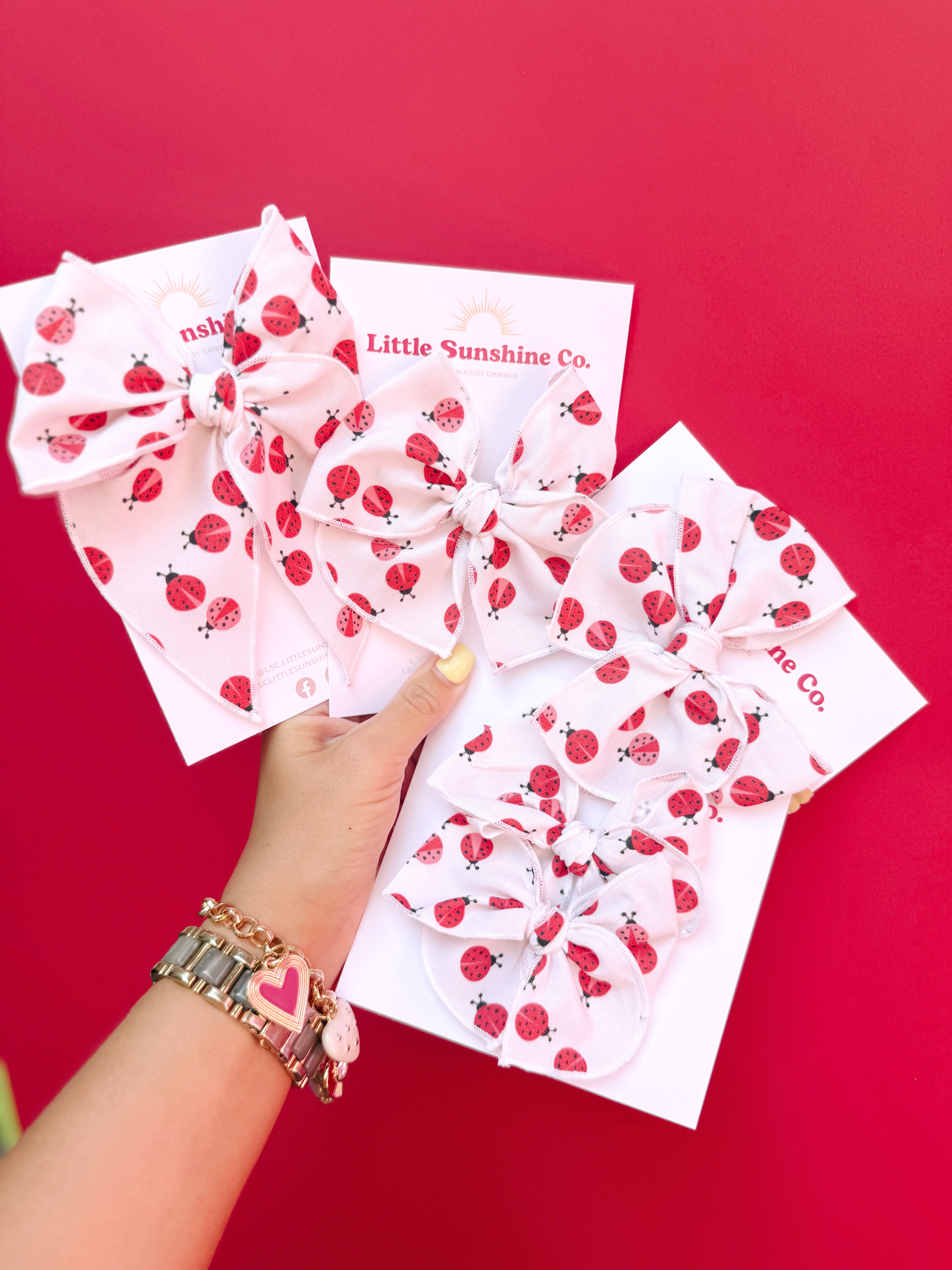 Ladybug Picnic Hair Bows 🐞🧺