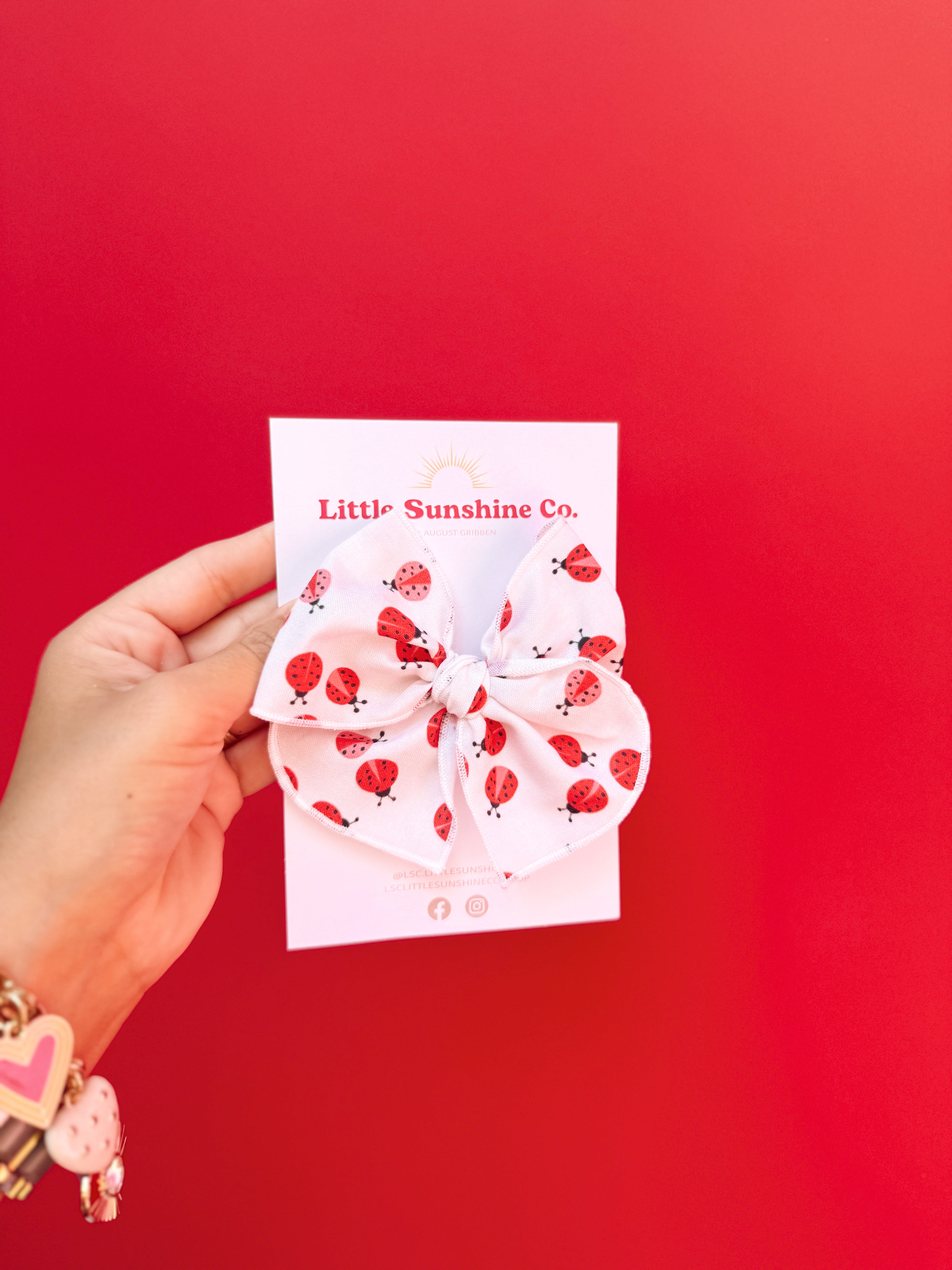 Ladybug Picnic Hair Bows 🐞🧺