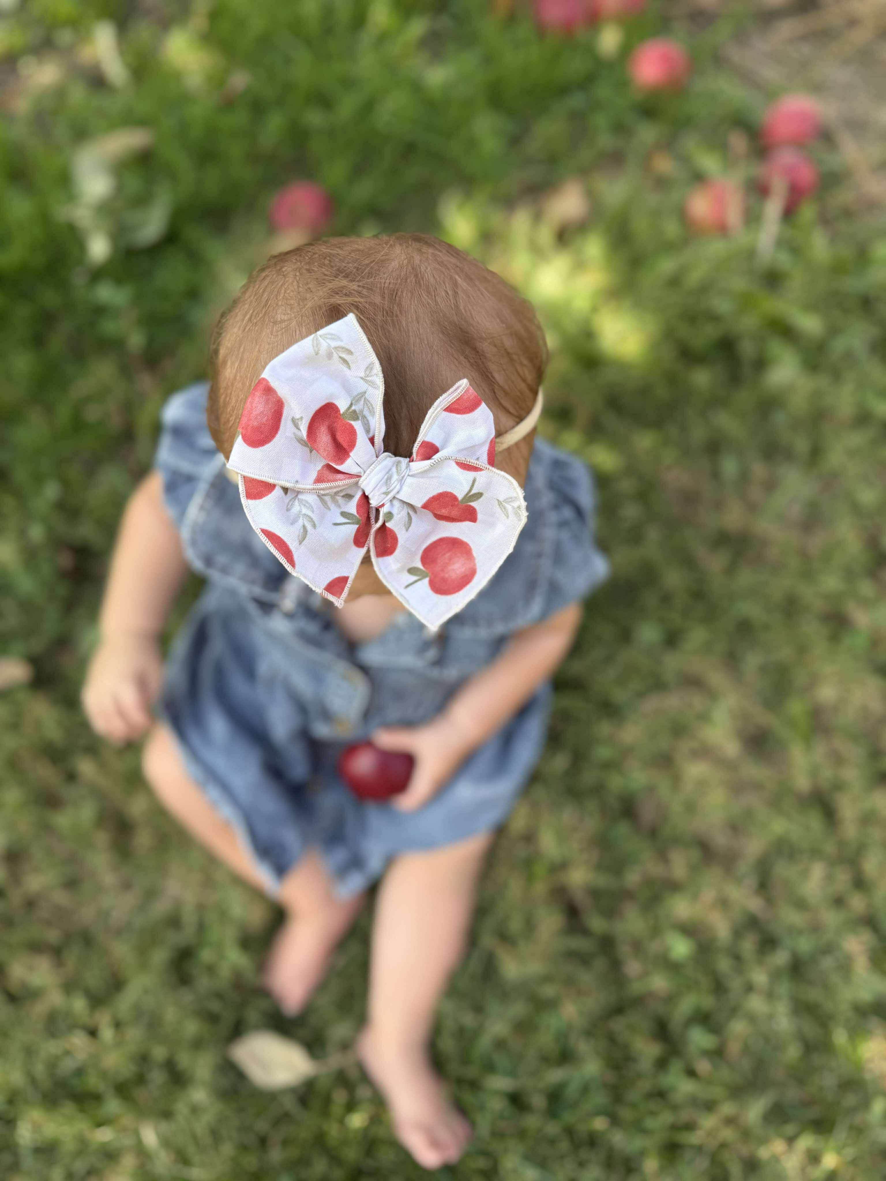Sweet Harvest Apple Bows